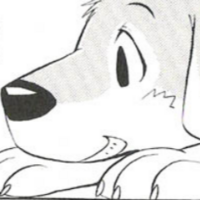 Dog