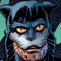Wildcat (Ted Grant)