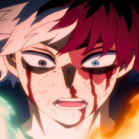 Shoto Todoroki 