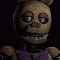 Costume Wearer 2 (Springbonnie): 