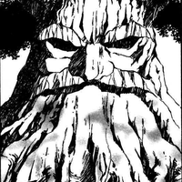 Great Deku Tree