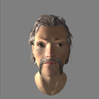 Paladin Maxwell