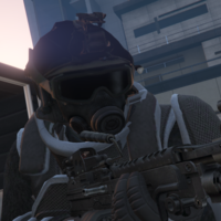 Task Force Grunts/SWAT/Cops