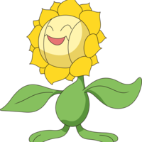 Sunflora