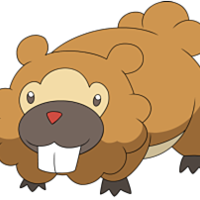 Bidoof