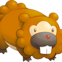 Bidoof's Brother