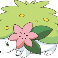 Shaymin