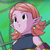 Supreme Kai of Time