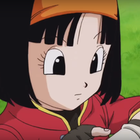 Pan