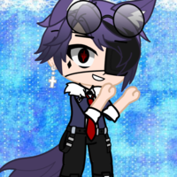 Asher (Wolf)