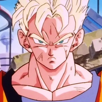 Future Gohan (Adult)