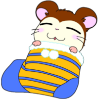 Snoozer