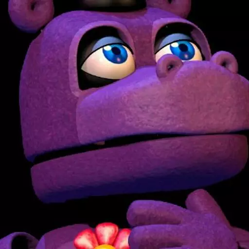 Mr. Hippo 