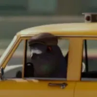 Taxi Driver Bird