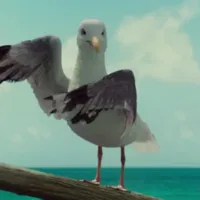Seagull #1