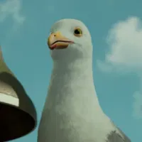Andy The Seagull