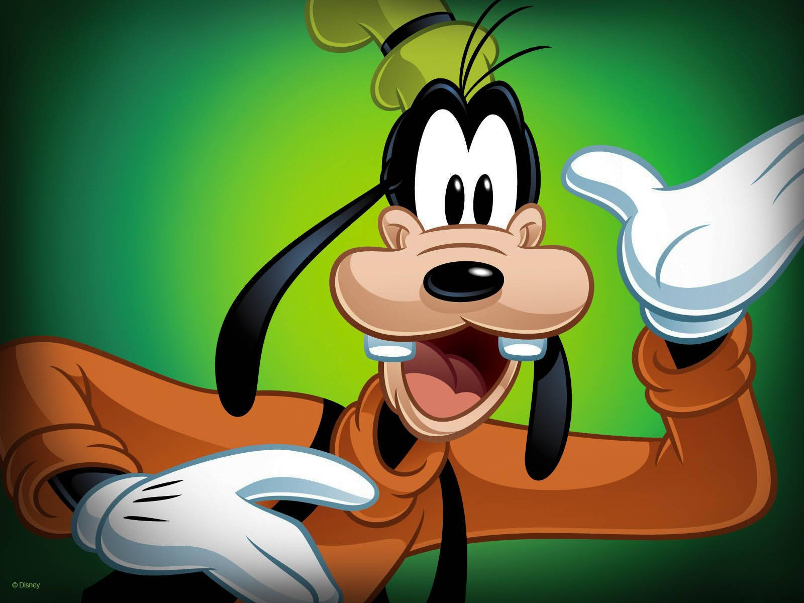 Goofy