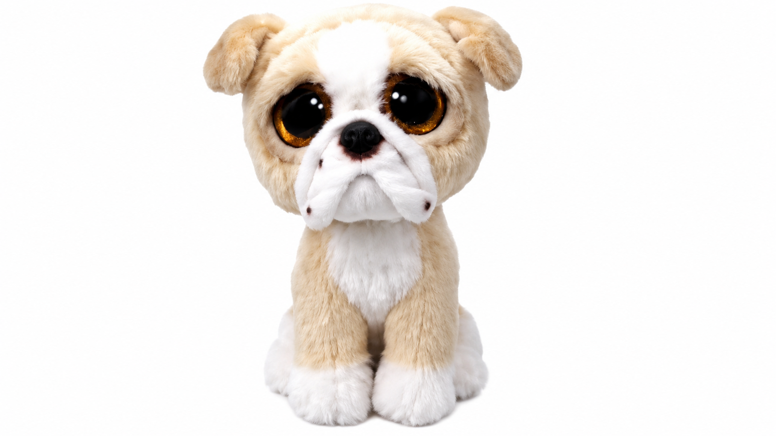 Pooch