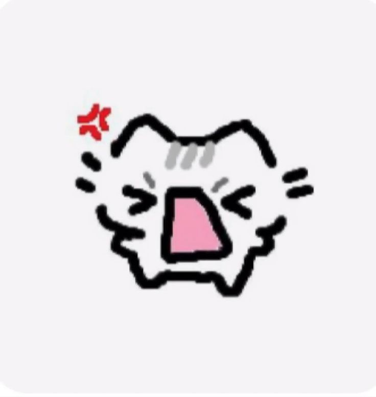 Clean up Animator