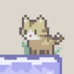 Cat / Paw