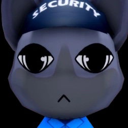 Security Guard
