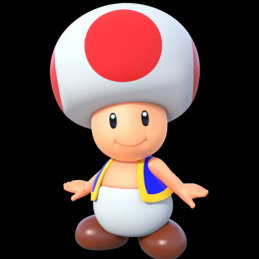 Toad