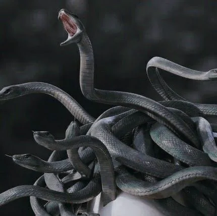 Medusa