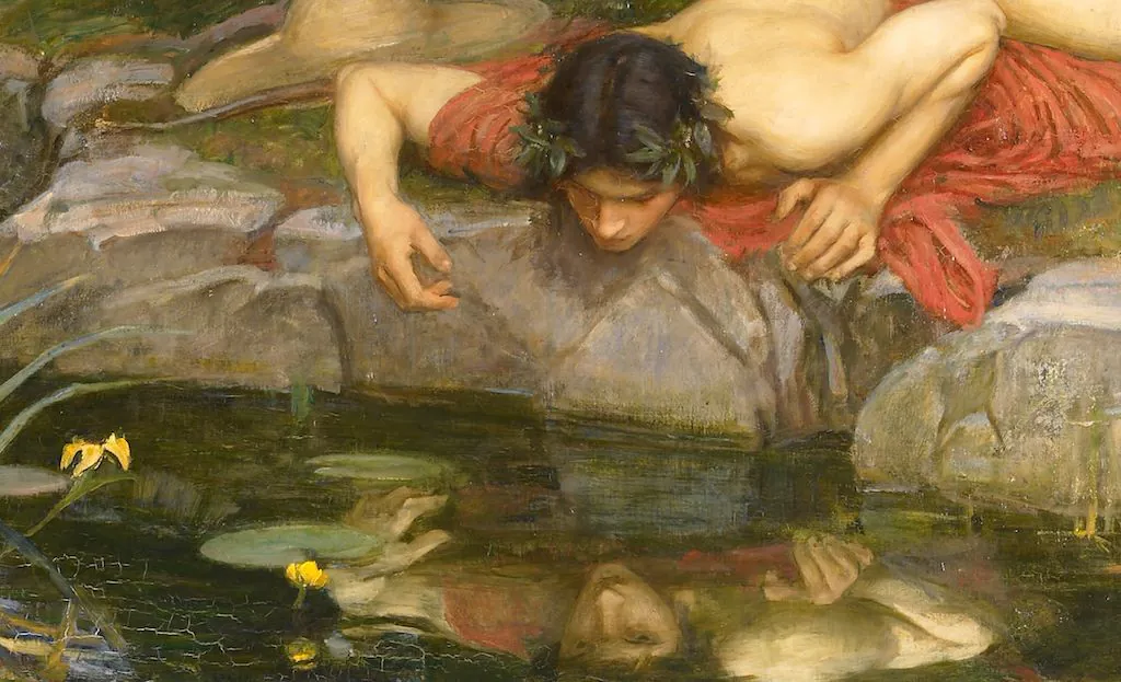 Narcissus