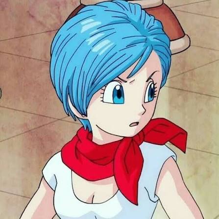Bulma Briefs