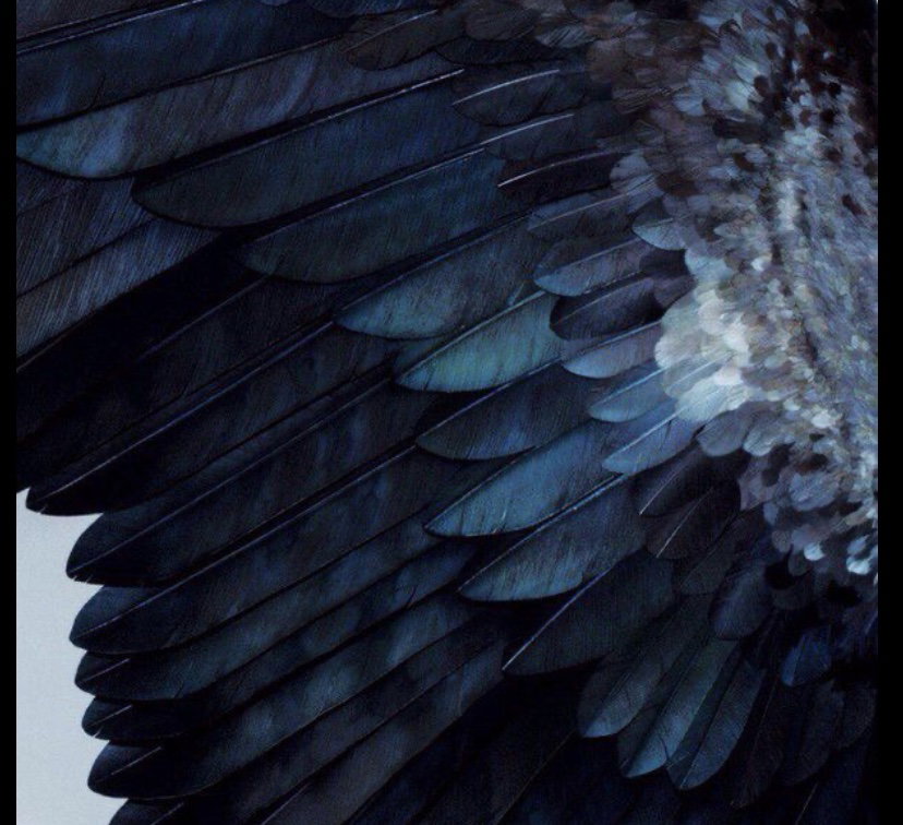 The Fallen Angel 