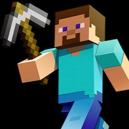 Minecraft Player