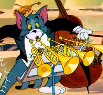 Musician