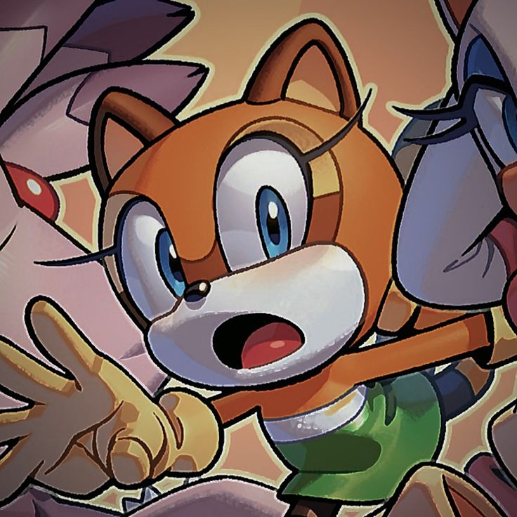 Marine Raccoon
