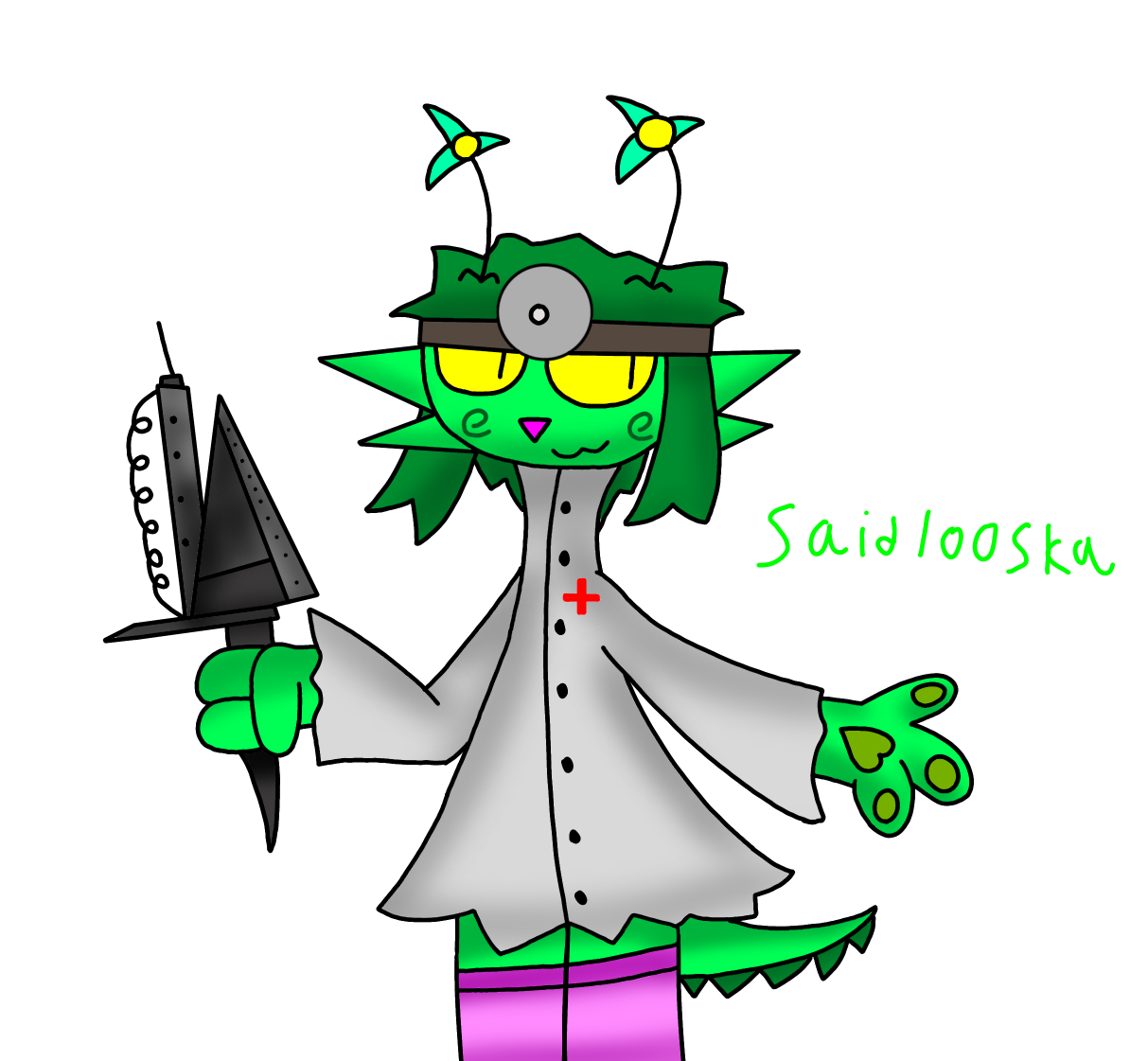 Saidlooska