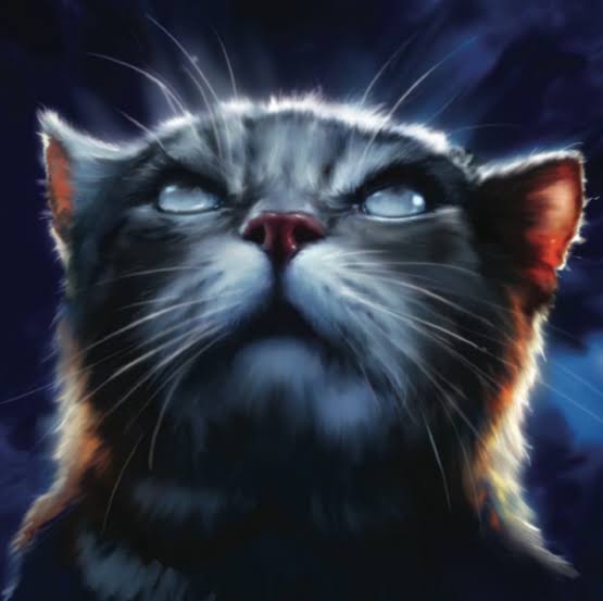 Jayfeather (Medicine Cats)