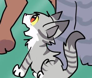 Leif the Cat