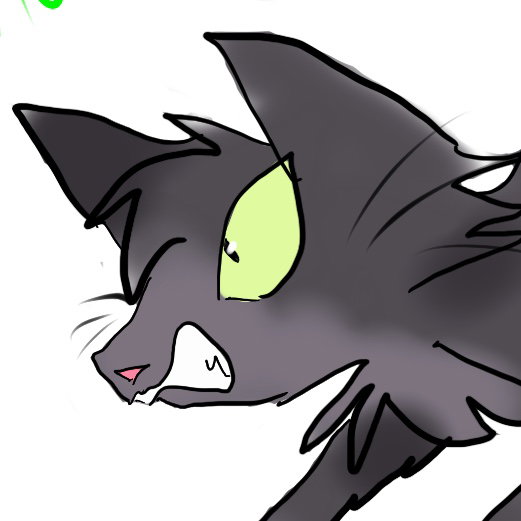 Yoyo the Alley Cat
