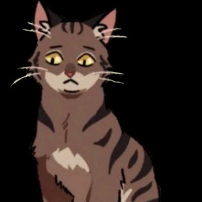 Dustpelt