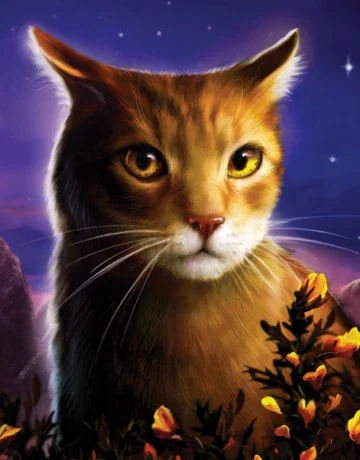 (WindClan) Onestar