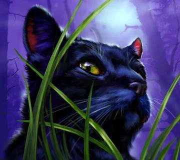 Breezepelt