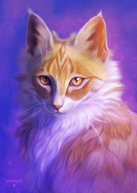 Mothwing (River Clan Medicine Cat)