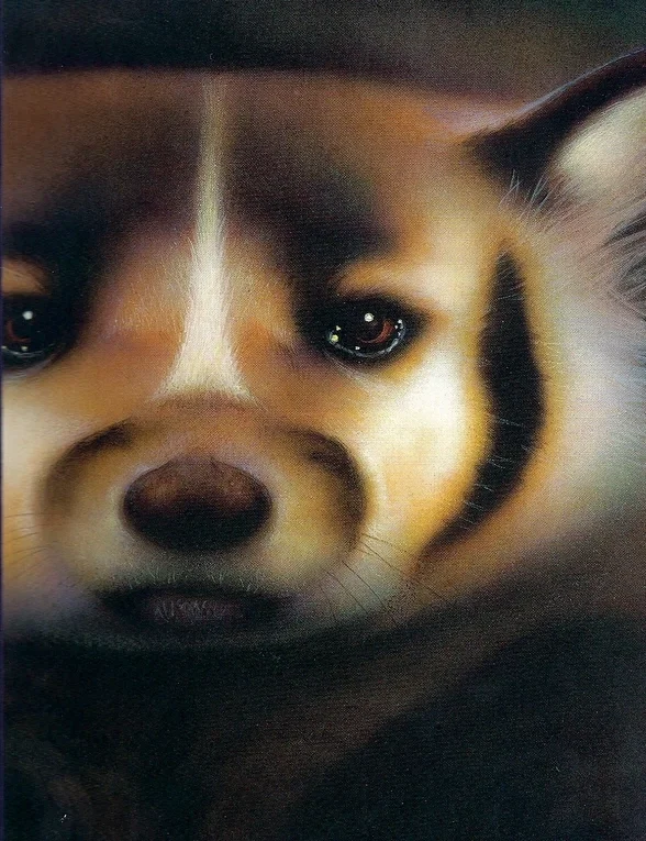Midnight (Badger)