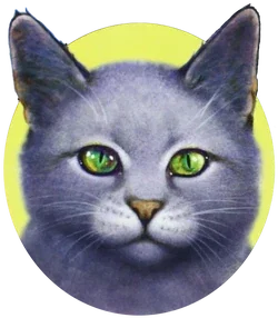 Dovewing (MAJOR)