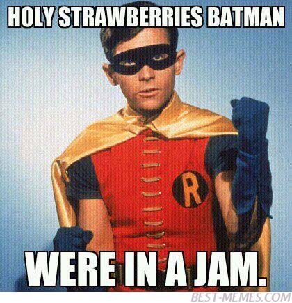 Robin