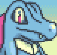 Toto the Totodile (Partner)