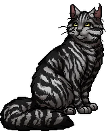 Bumblestripe
