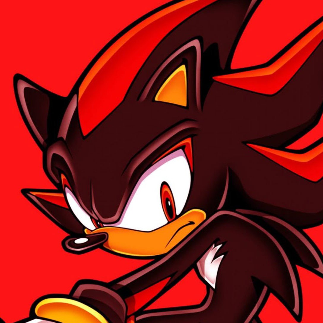 Shadow The Hedgehog