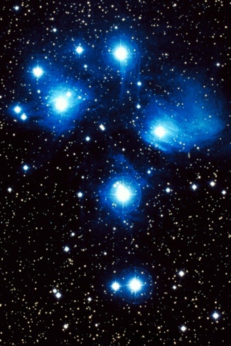 Baby Phanes — "The Universe"