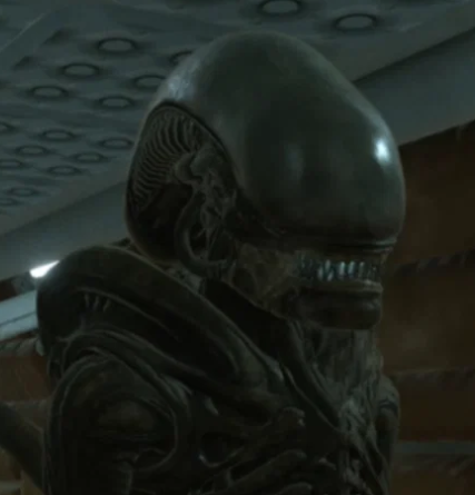 The Xenomorph