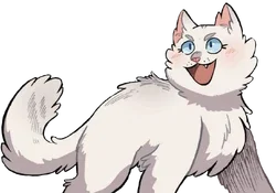Cloudtail